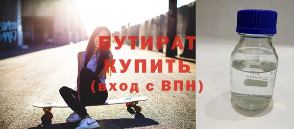 индика Гатчина
