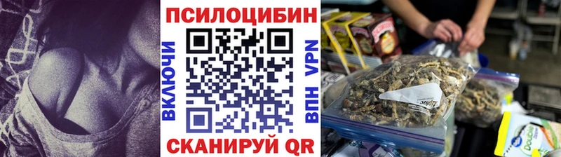 Псилоцибиновые грибы мицелий  Зуевка 