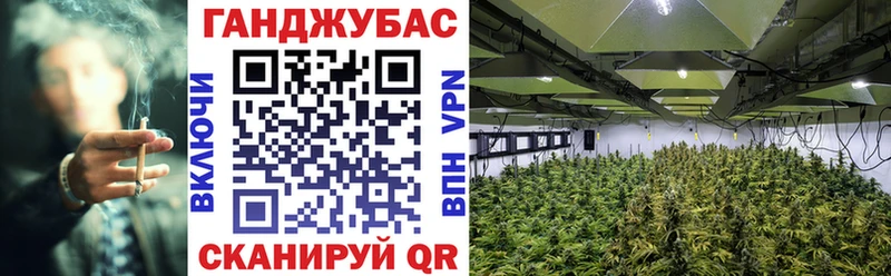 МАРИХУАНА Amnesia  гидра вход  дарк нет Telegram  Зуевка 
